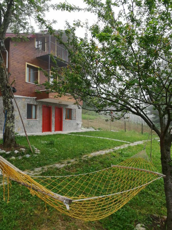 Ayder Palas Apart Hotel מראה חיצוני תמונה